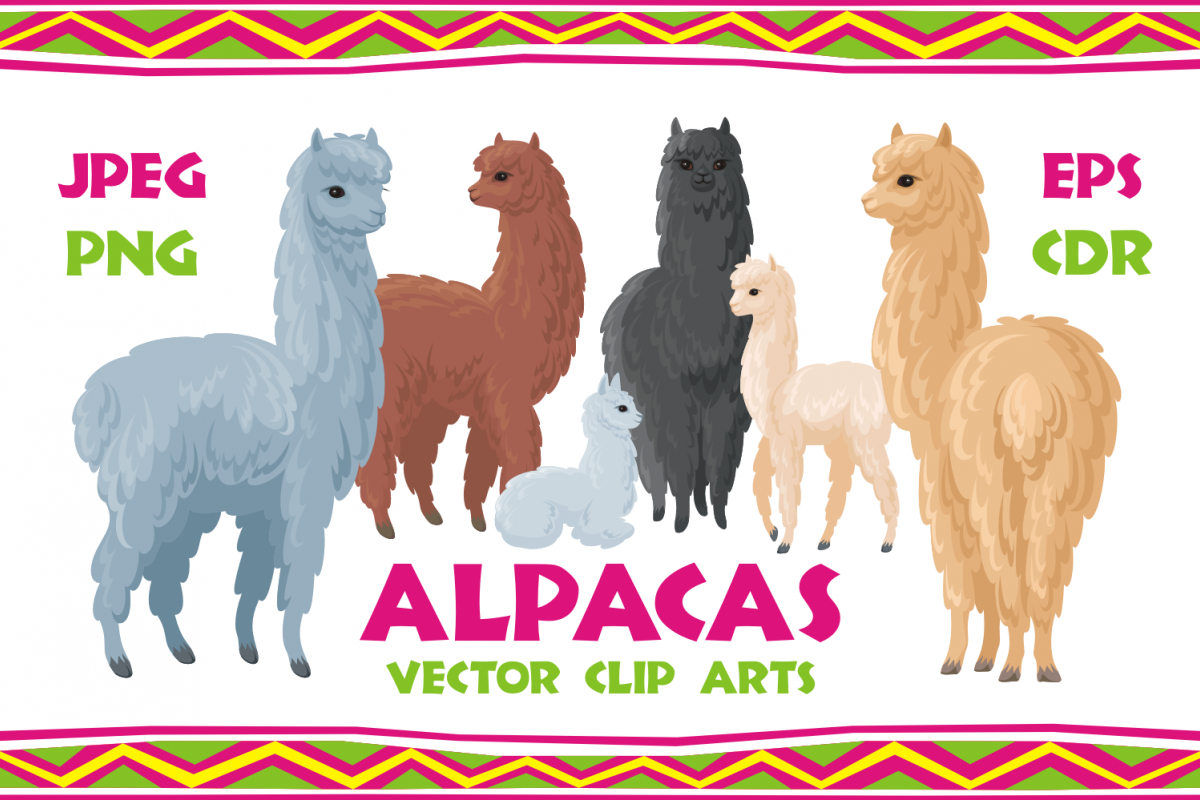 Alpacas Vector Clip Arts 1200x800 Alpacas Vector Clip Arts