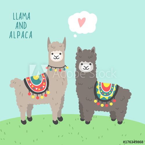 Cute Llama And Alpaca Set Cartoon Character Vector Illustration 500x500 Cute Llama And Alpaca Set Cartoon Character Vector Illustration