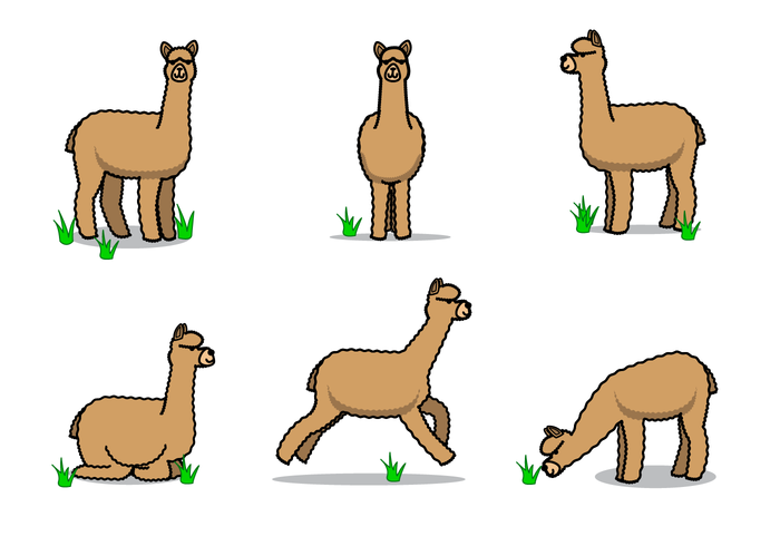 Alpaca Free Vector Art 700x490 Alpaca Free Vector Art