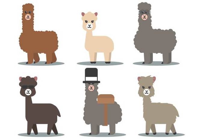 Alpaca Vector Free Vector Download Cannypic 632x443 Alpaca Vector Free Vector Download Cannypic