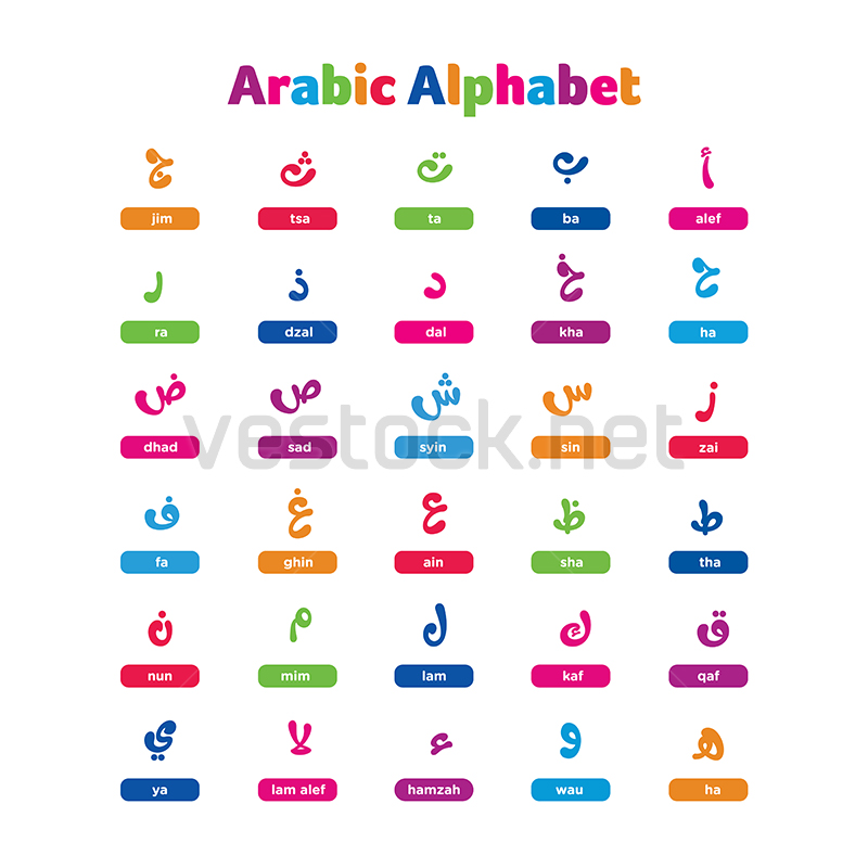 800x800 Colorful Arabic Alphabet Vector Vestock