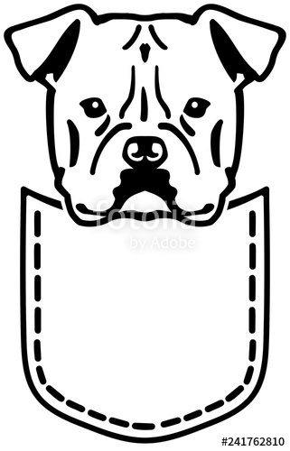 321x500 American Bulldog Pocket Black And White Stock Image And Royalty
