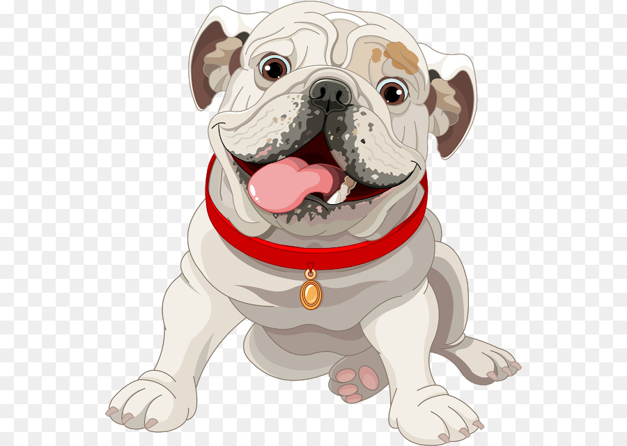 900x640 American Bulldog