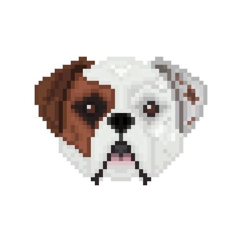 490x490 American Bulldog, Dog Head In Pixel Art Style