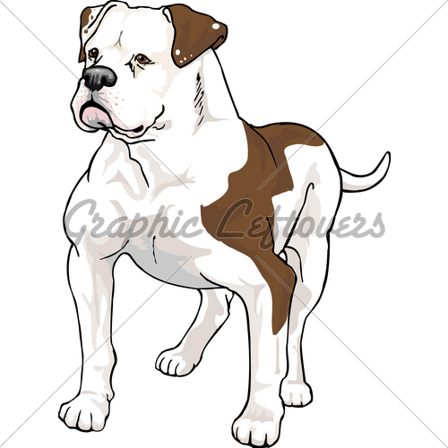 500x500 American Bulldog Clipart Free Cliparts Download Images