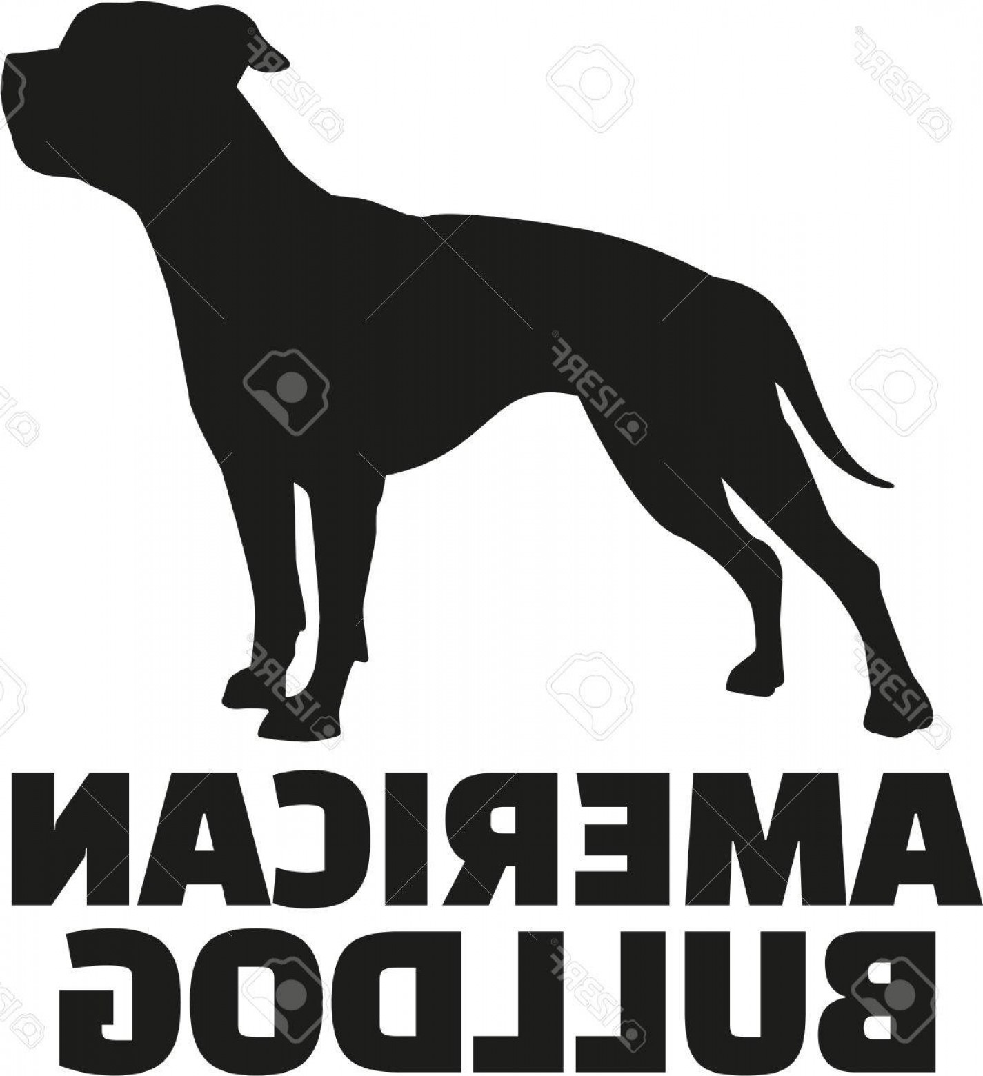1425x1560 Photostock Vector American Bulldog With Breed Name Soidergi