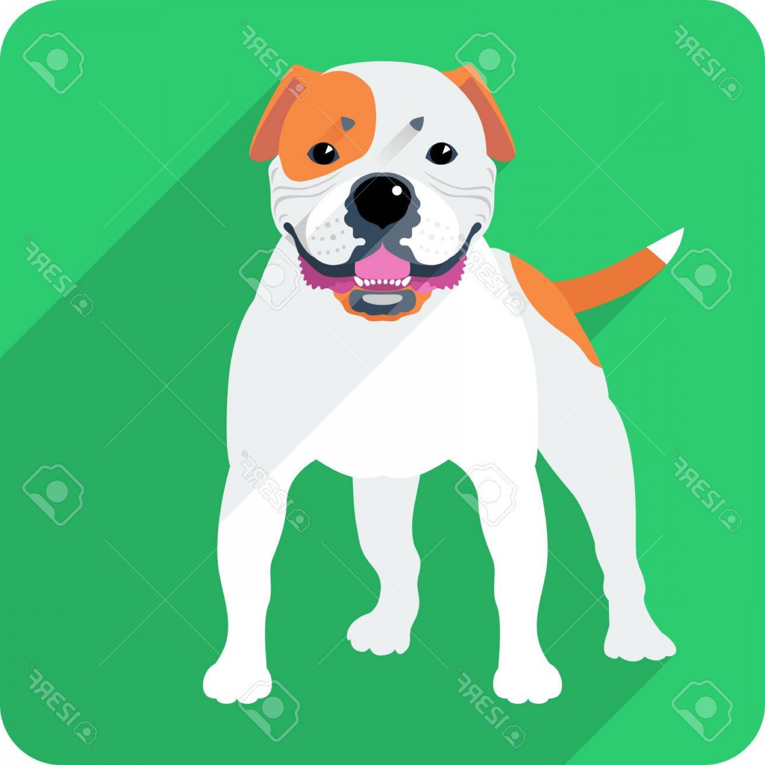 1560x1560 Photostock Vector Vector Smiling Dog American Bulldog Standing