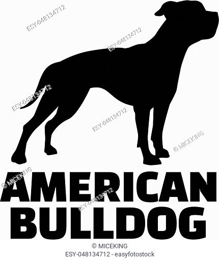 430x511 Vector Dog American Bulldog Stock Photos And Images Age Fotostock