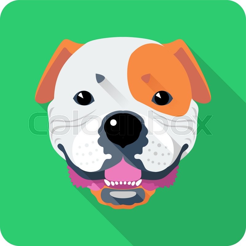 800x800 Vector Smiling Dog American Bulldog Stock Vector Colourbox