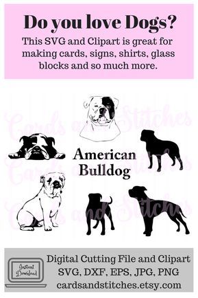 Download American Bulldog Vector at Vectorified.com | Collection of ...