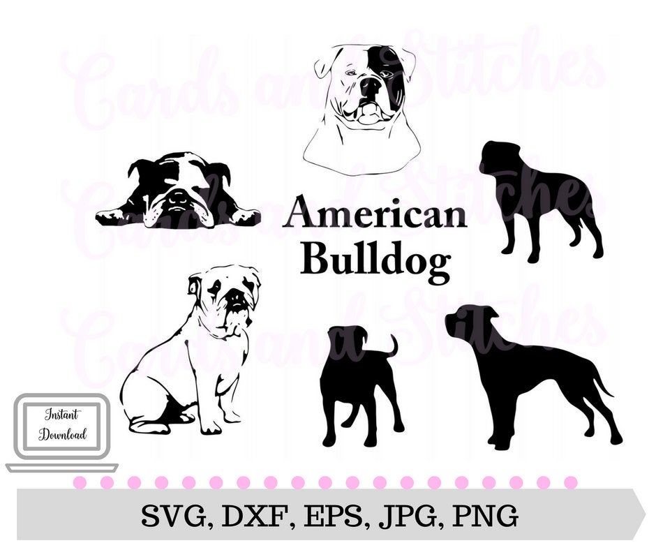 940x788 American Bulldog Bulldog Dogs Dogs Clipart Etsy