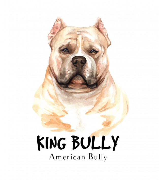 626x706 American Bully Dog Watercolor For Printing Vector Premium Download