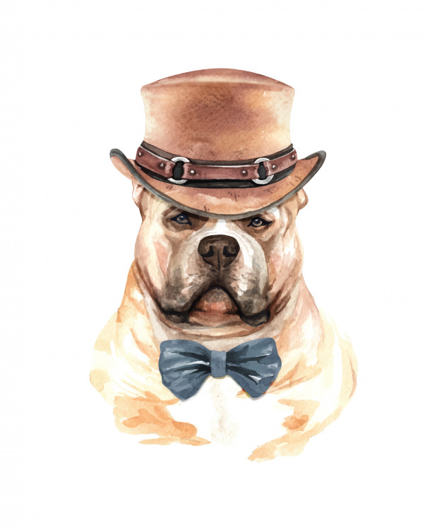 626x746 American Bully Dog Watercolor With Costume Vector Premium Download
