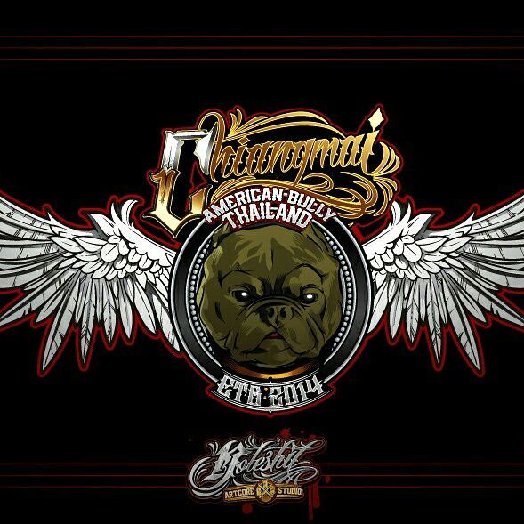 589x589 Chiangmai American Bully Thailand