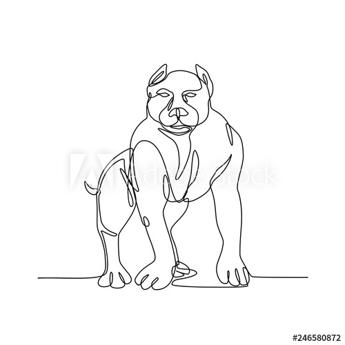 500x500 Continuous Line Illustration Of An American Bully, Pit Bull