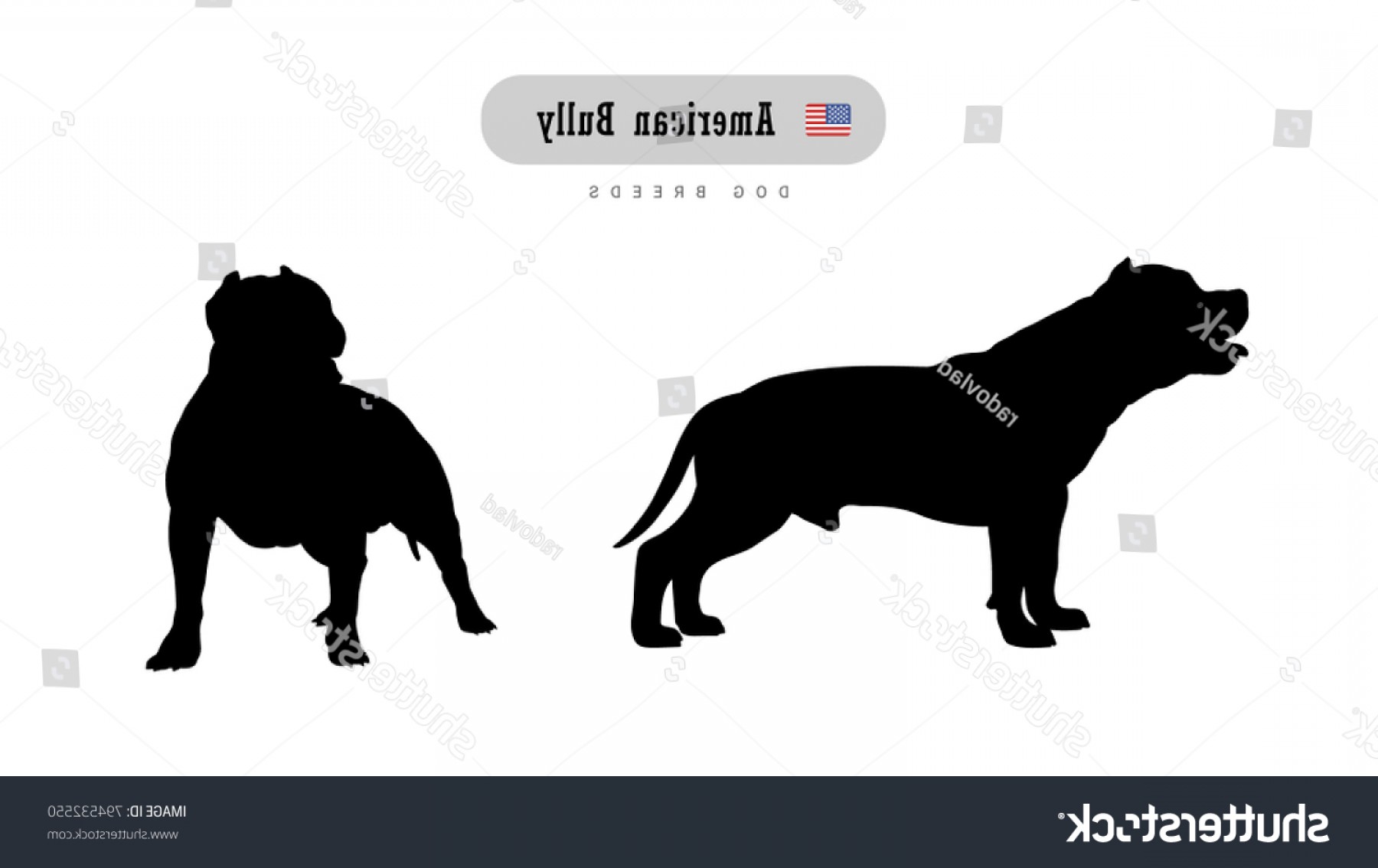 American Bully Vector at Vectorified.com | Collection of American Bully ...