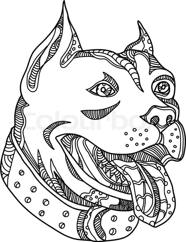 614x800 Doodle Art Illustration Of Head Of Pit Stock Vector Colourbox