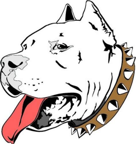 474x503 Image Result For American Bully Outline Art Animal Drawings