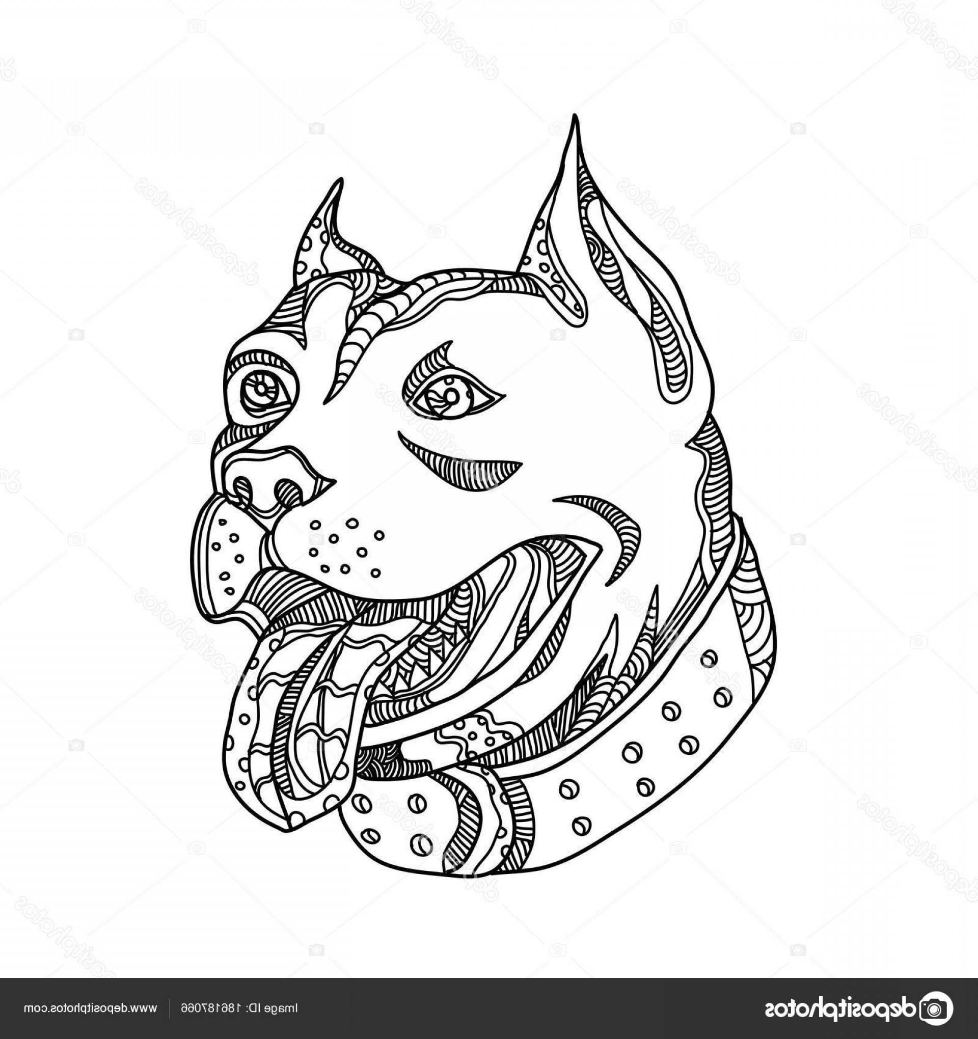 1920x2040 American Bully Dogs Vector Shopatcloth Drawings Of Pitbulls
