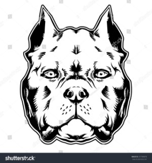 300x320 Pitbull American Bully Stock Vector Royalty Free