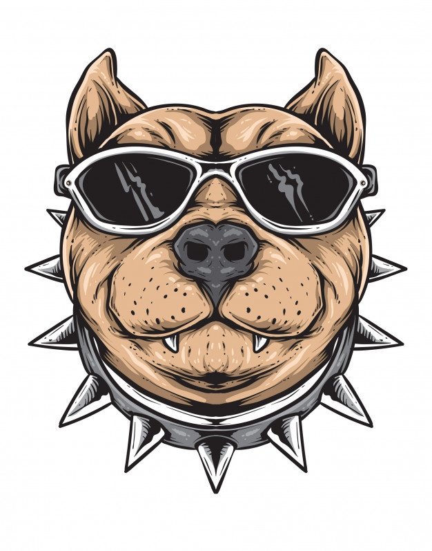 626x797 Pitbull Vectors, Photos And Free Download