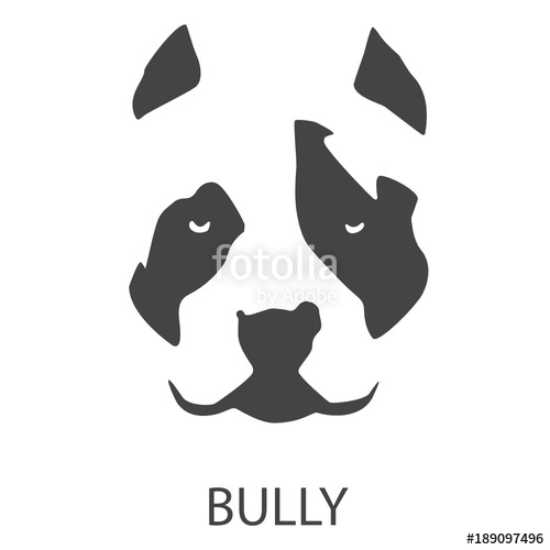 500x500 American Bully Stock Image And Royalty Free Vector