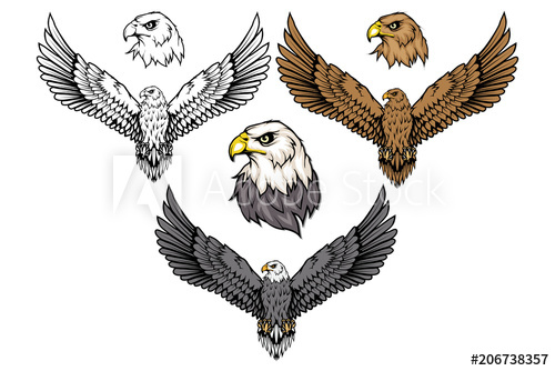 500x334 American Eagle Set Bald Eagle Logo Wild Birds Drawing Head