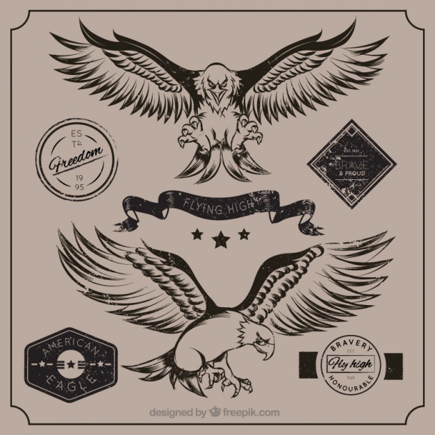 626x626 American Eagle Vector Free Download