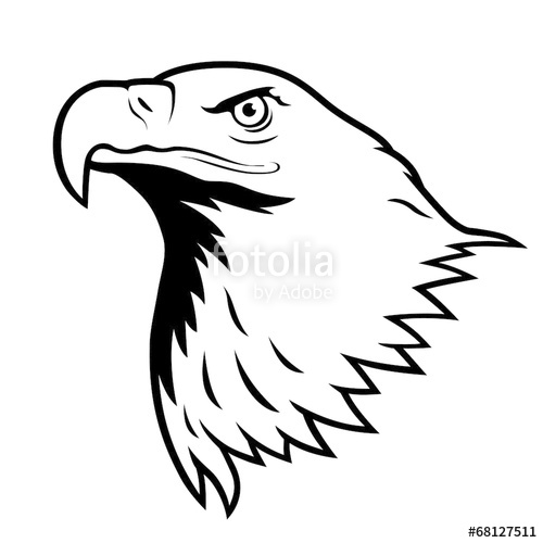 500x500 Bald Eagle, American Eagle Stock Image And Royalty Free Vector