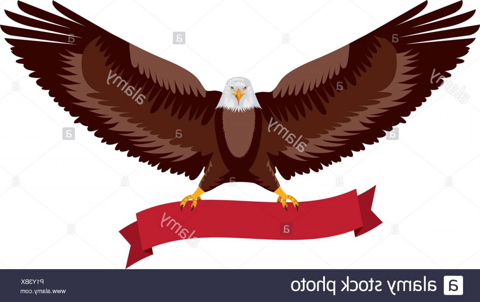 1560x981 American Eagle Spread Wings With Ribbon In The Talons Vector