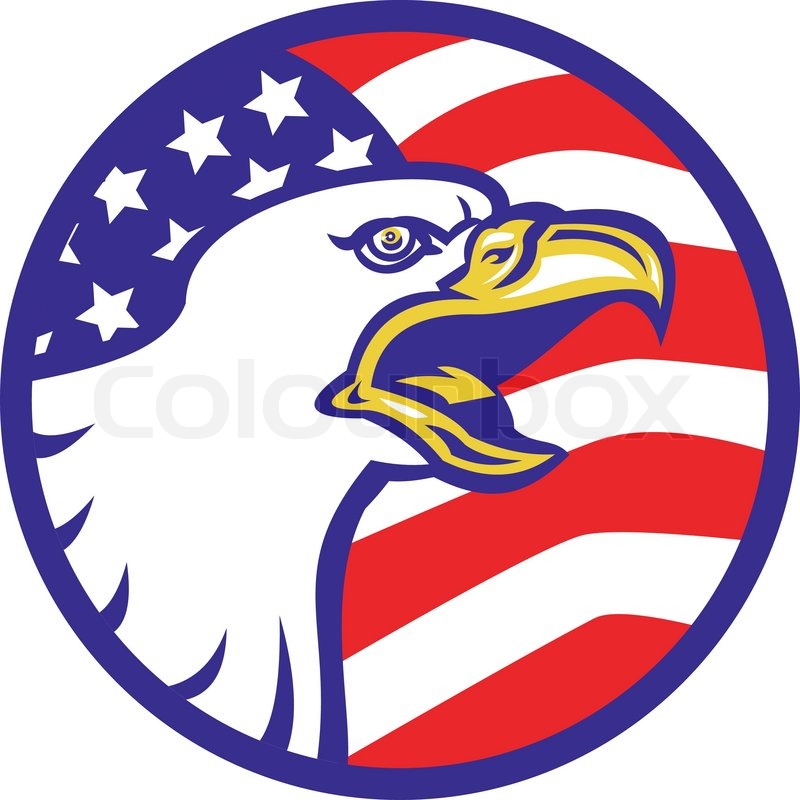 800x800 American Bald Eagle Screaming With Usa Stock Vector Colourbox