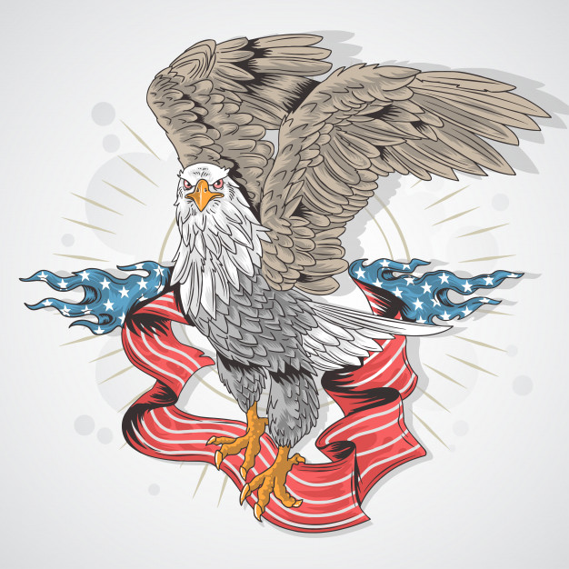 626x626 Usa Flag Eagle Vector Premium Download