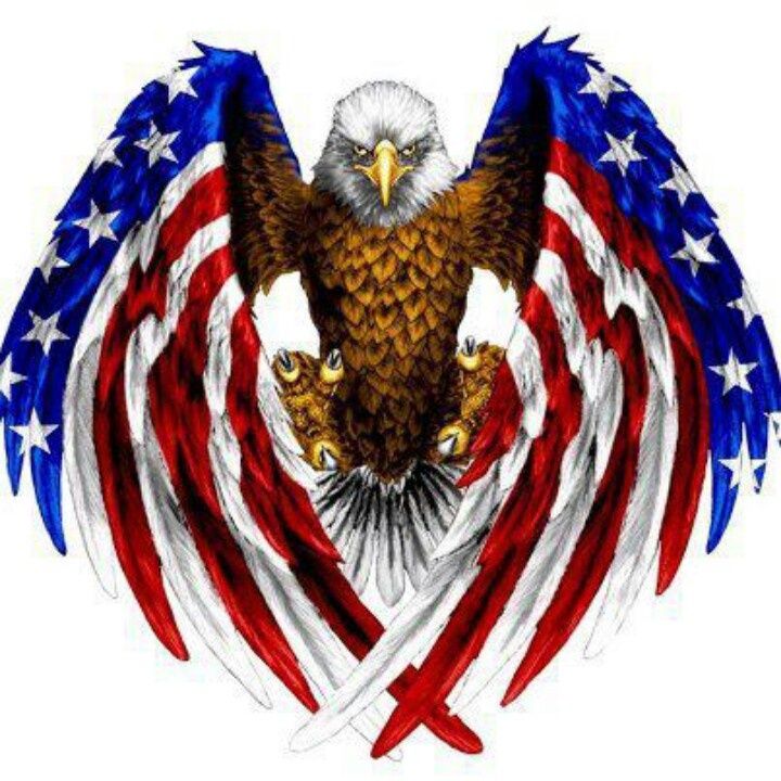 720x720 Free Clipart American Flag And Eagle Free Cliparts Download