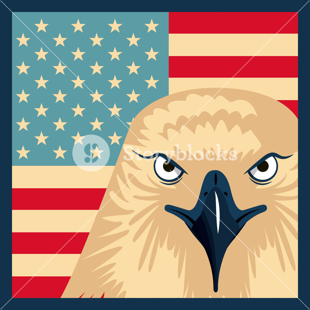 1000x1000 Independence Day American Flag Head Eagle Vector Illustration