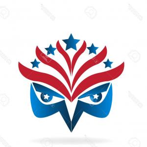 300x300 American Buffalo Usa Flag Icon Vector Catchsplace