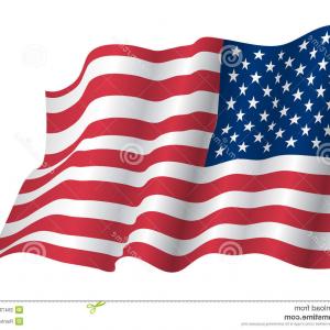 300x300 Waving American Flag Logo Design Vector Wallkeeper