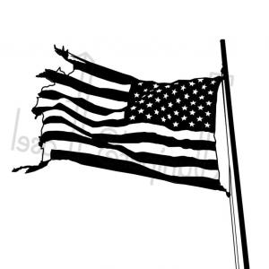300x300 Stock Illustration American Flag Vector Icon Catchsplace