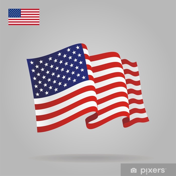 Flat And Waving American Flag Vector Wall Mural 700x700 Flat And Waving American Flag Vector Wall Mural