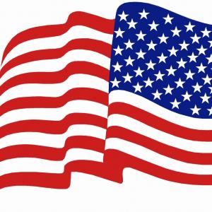 Download American Flag Vector Free Download at Vectorified.com ...