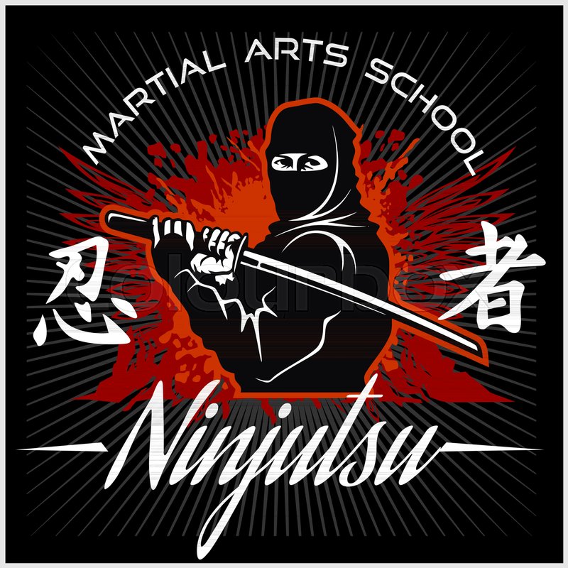 800x800 Ninja Warrior Fighter