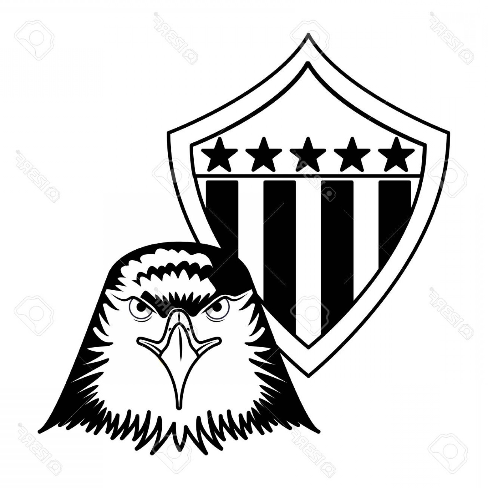 Photoamerican Bald Eagle Shield Vector Illustration Design 1560x1560 Photoamerican Bald Eagle Shield Vector Illustration Design
