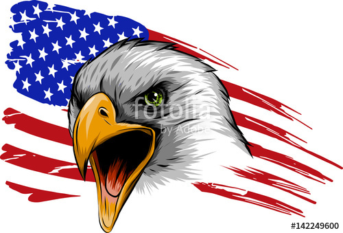 500x339 Aquila Americana Stock Image And Royalty Free Vector