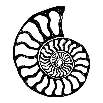 Ammonite Vector at Vectorified.com | Collection of Ammonite Vector free ...