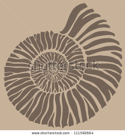 433x470 Ammonoidea Clipart Free Cliparts Download Images