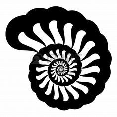 236x236 Best Ammonite Images In Ammonite, Drawings, Stencils