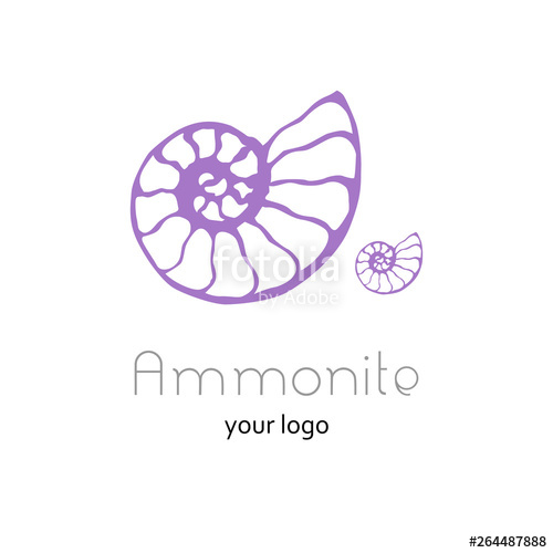 500x500 Fossil Ammonite Nautilus Seashell Vector Logo Hand Drawn