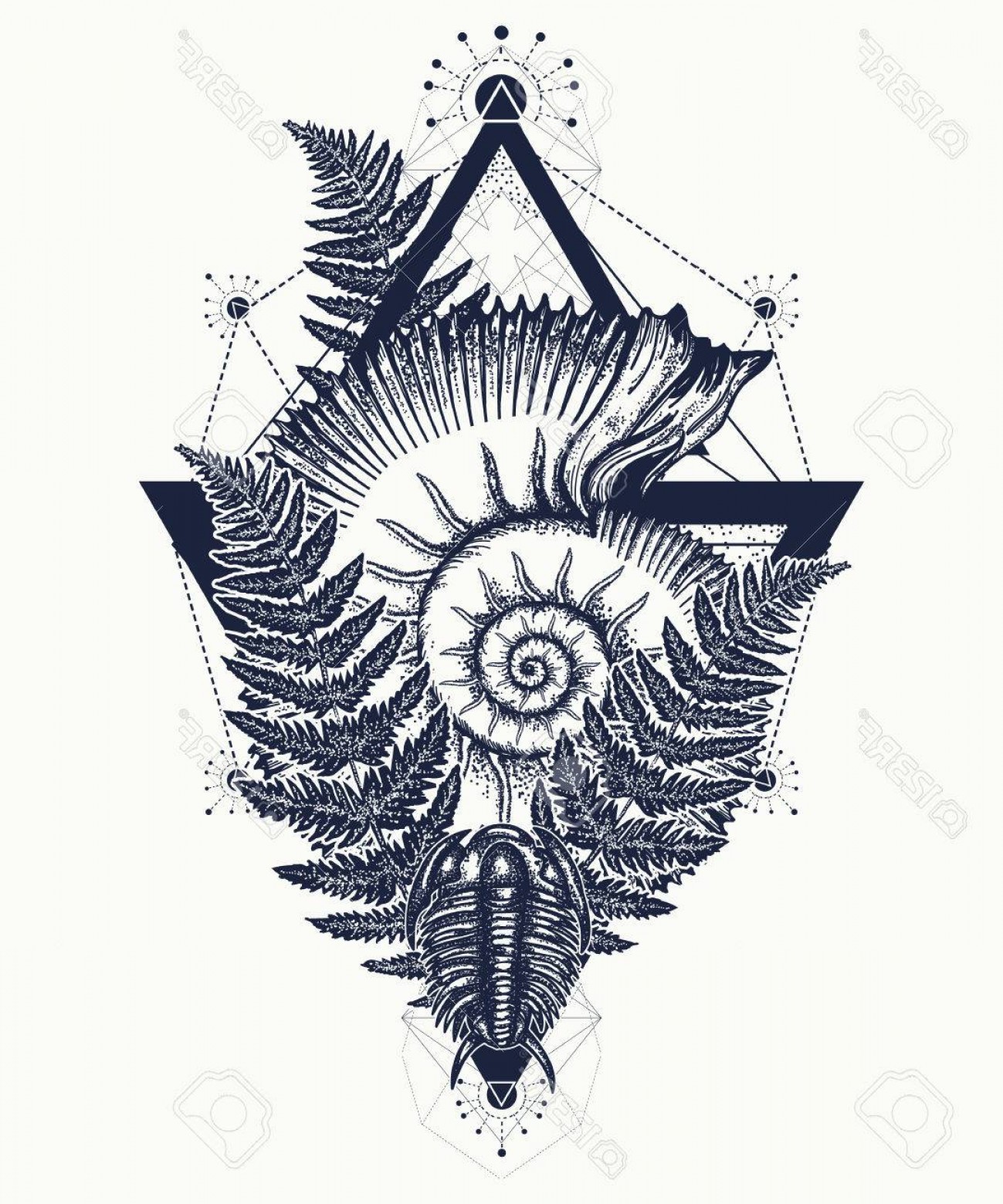 1299x1560 Nautilus Geometry Vector Catchsplace