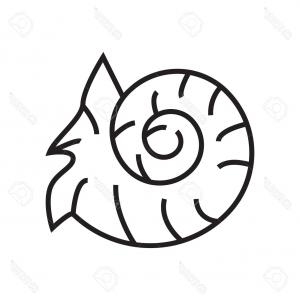 300x300 Set Fossilized Shell Ammonite Isolated White Background Vector