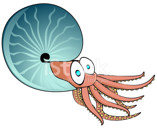 535x439 Ammonite Cartoon Stock Vector