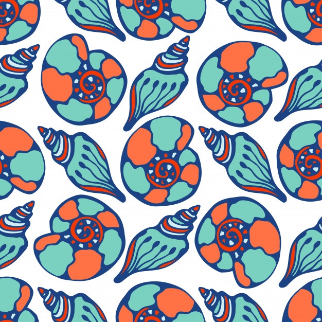 626x626 Ammonite Vectors, Photos And Free Download